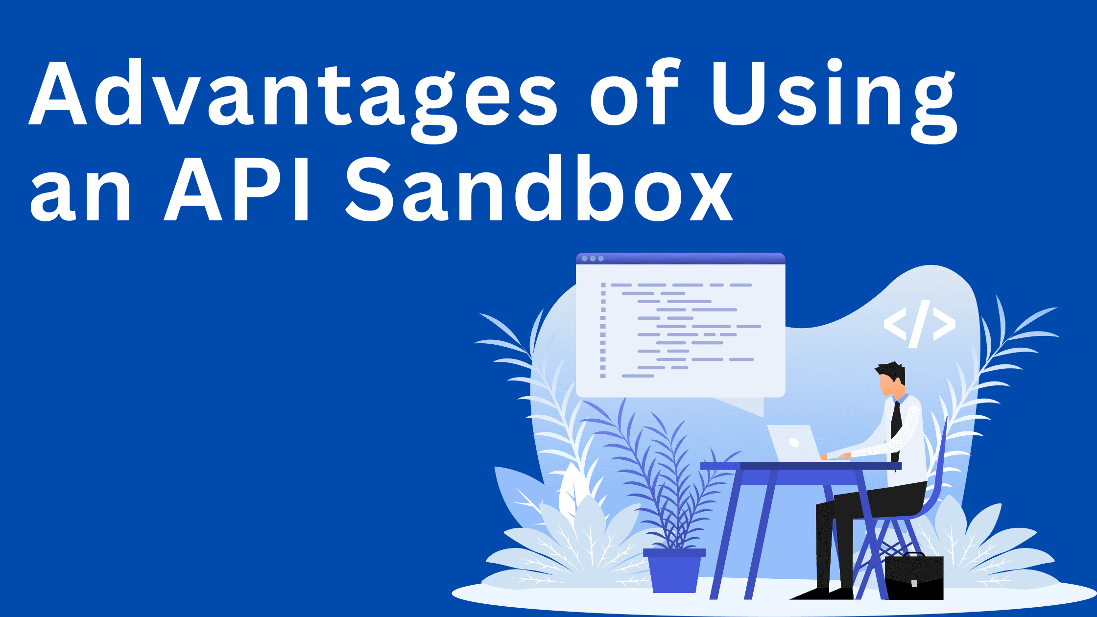 What is API Sandbox